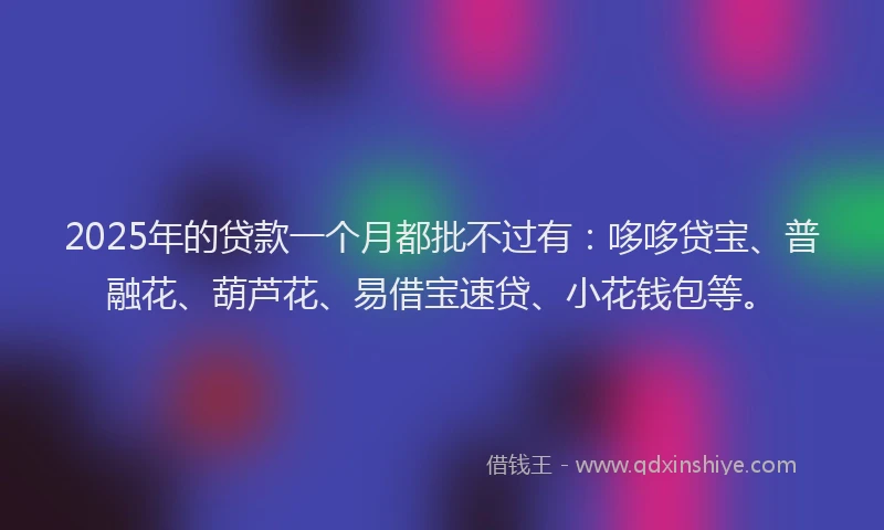 2025年的贷款一个月都批不过有：哆哆贷宝、普融花、葫芦花、易借宝速贷、小花钱包等。