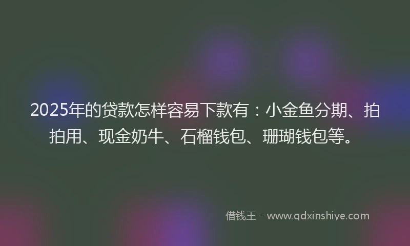 2025年的贷款怎样容易下款有：小金鱼分期、拍拍用、现金奶牛、石榴钱包、珊瑚钱包等。