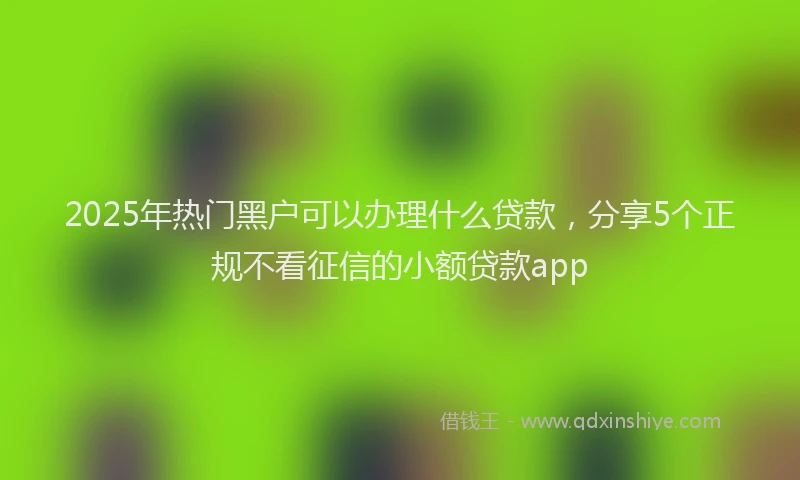 2025年热门黑户可以办理什么贷款，分享5个正规不看征信的小额贷款app