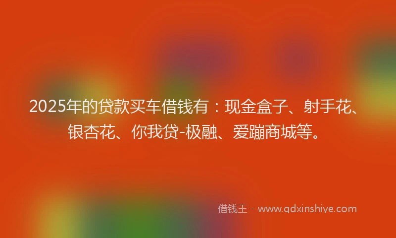 2025年的贷款买车借钱有：现金盒子、射手花、银杏花、你我贷-极融、爱蹦商城等。