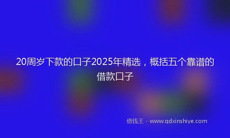 20周岁下款的口子2025年精选，概括五个靠谱的借款口子