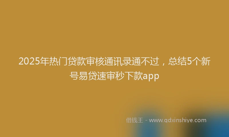 2025年热门贷款审核通讯录通不过，总结5个新号易贷速审秒下款app