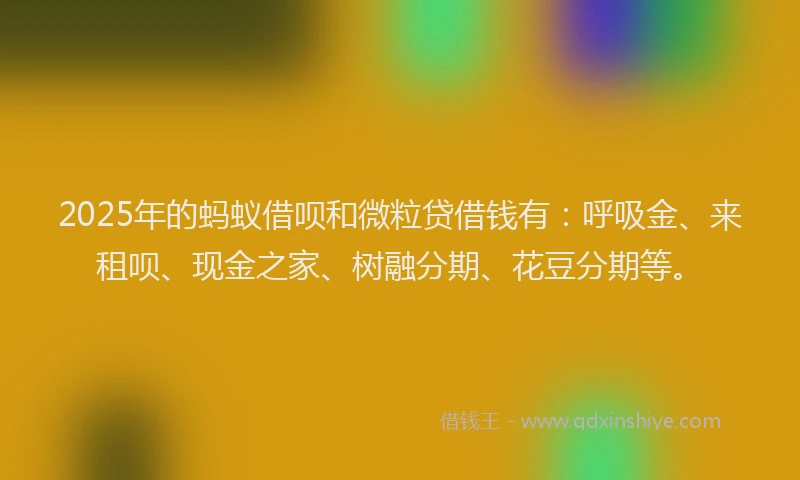 2025年的蚂蚁借呗和微粒贷借钱有：呼吸金、来租呗、现金之家、树融分期、花豆分期等。