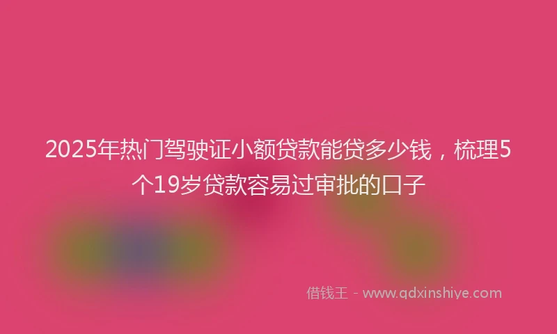 2025年热门驾驶证小额贷款能贷多少钱，梳理5个19岁贷款容易过审批的口子