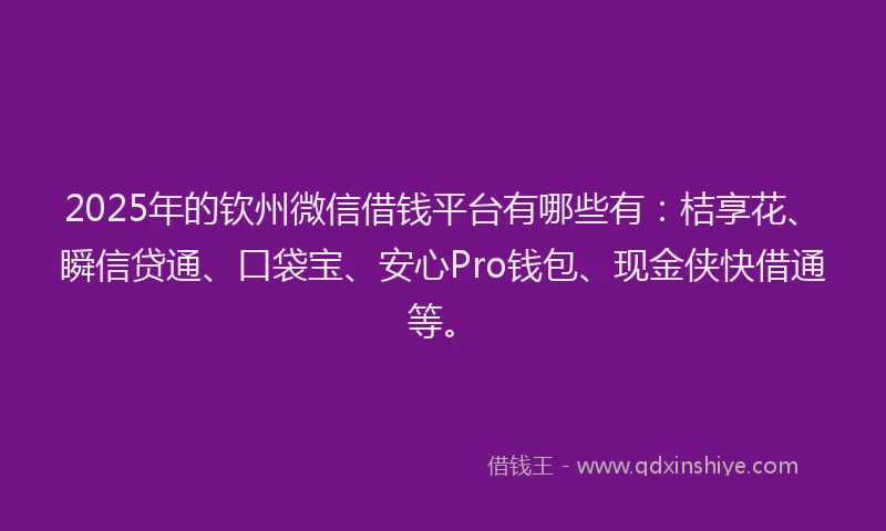 2025年的钦州微信借钱平台有哪些有：桔享花、瞬信贷通、口袋宝、安心Pro钱包、现金侠快借通等。