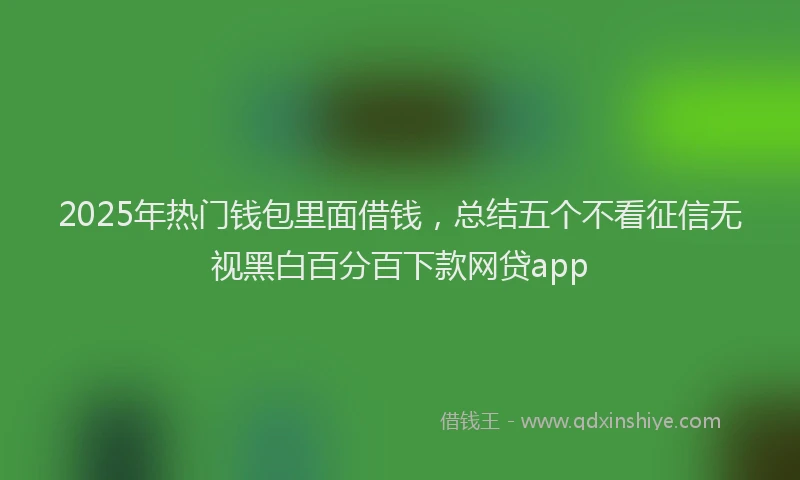 2025年热门钱包里面借钱，总结五个不看征信无视黑白百分百下款网贷app