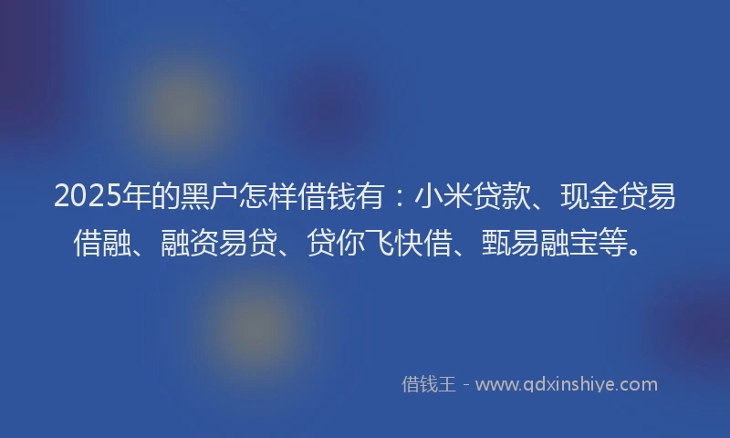 2025年的黑户怎样借钱有：小米贷款、现金贷易借融、融资易贷、贷你飞快借、甄易融宝等。