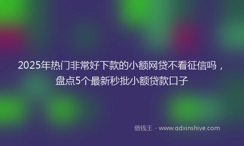 2025年热门非常好下款的小额网贷不看征信吗，盘点5个最新秒批小额贷款口子