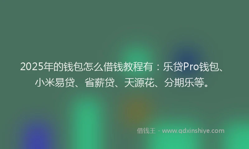 2025年的钱包怎么借钱教程有：乐贷Pro钱包、小米易贷、省薪贷、天源花、分期乐等。