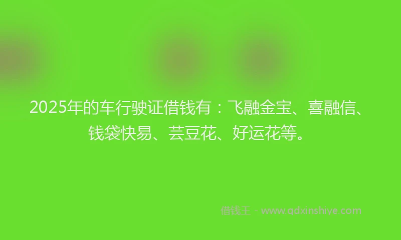 2025年的车行驶证借钱有：飞融金宝、喜融信、钱袋快易、芸豆花、好运花等。