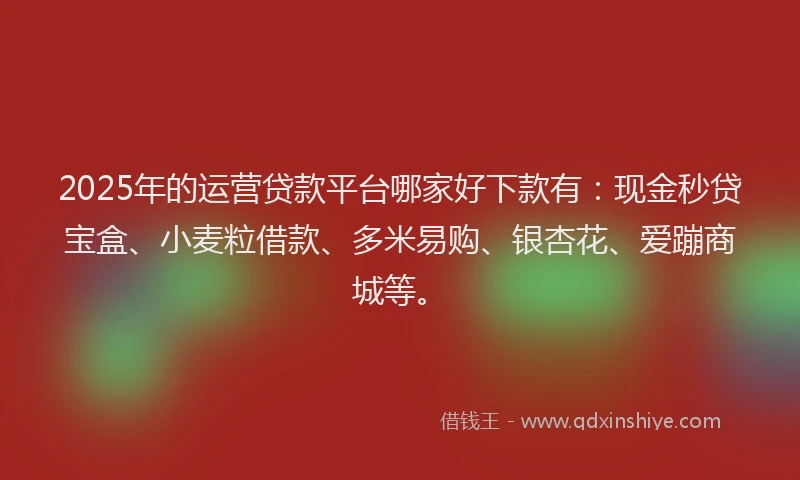 2025年的运营贷款平台哪家好下款有：现金秒贷宝盒、小麦粒借款、多米易购、银杏花、爱蹦商城等。