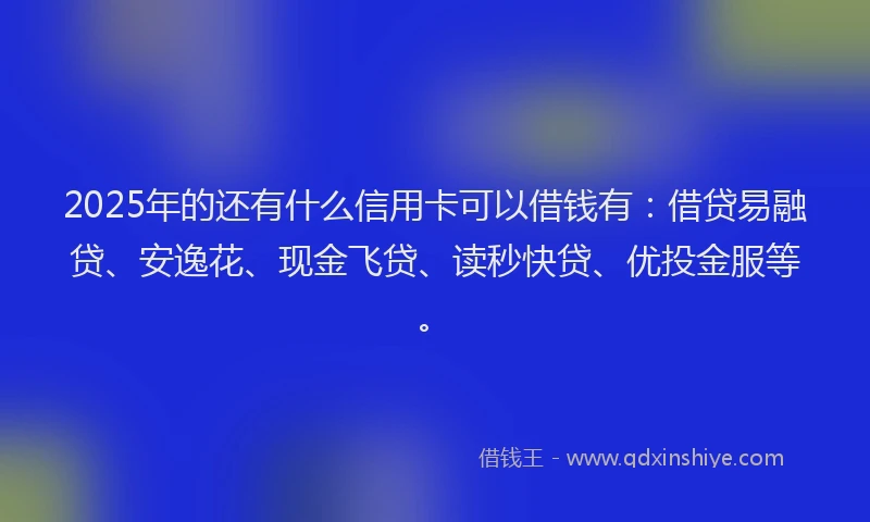 2025年的还有什么信用卡可以借钱有：借贷易融贷、安逸花、现金飞贷、读秒快贷、优投金服等。