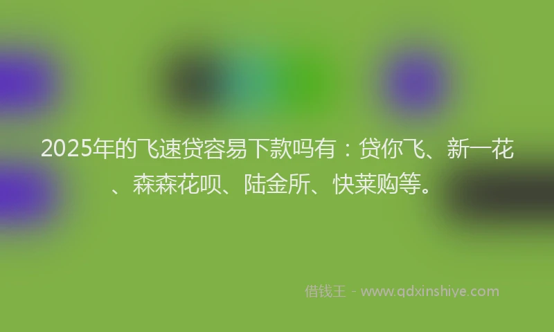 2025年的飞速贷容易下款吗有：贷你飞、新一花、森森花呗、陆金所、快莱购等。
