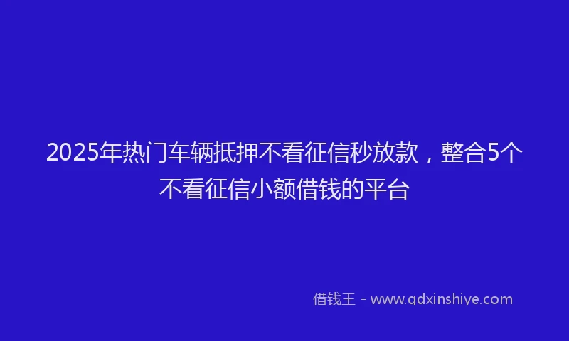 2025年热门车辆抵押不看征信秒放款，整合5个不看征信小额借钱的平台
