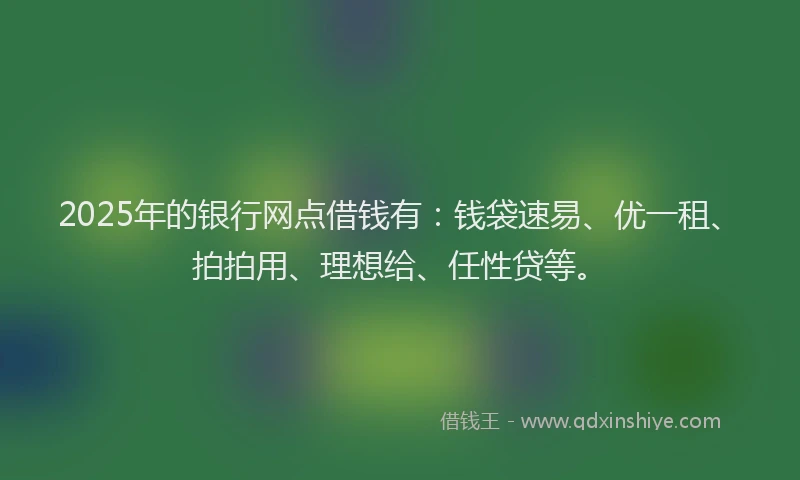 2025年的银行网点借钱有：钱袋速易、优一租、拍拍用、理想给、任性贷等。
