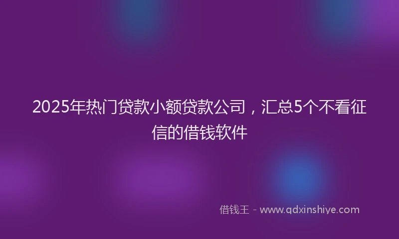 2025年热门贷款小额贷款公司，汇总5个不看征信的借钱软件