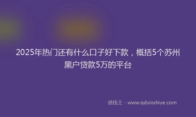 2025年热门还有什么口子好下款，概括5个苏州黑户贷款5万的平台