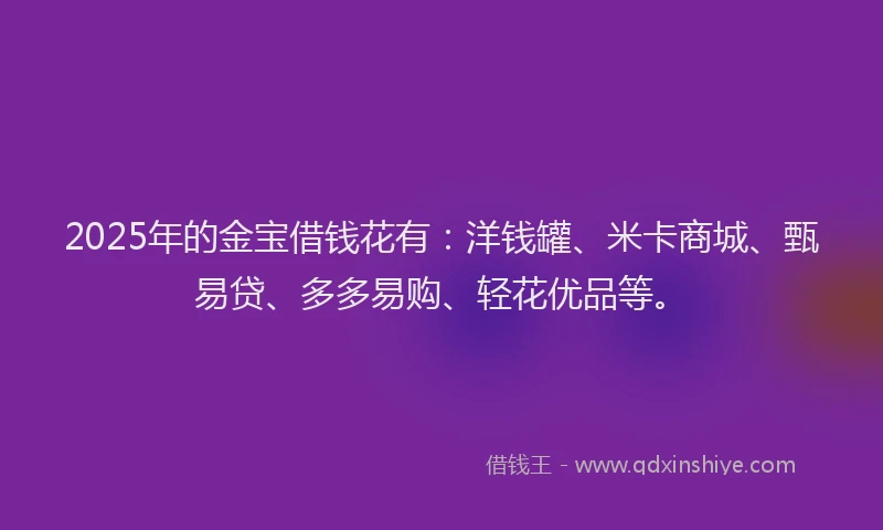 2025年的金宝借钱花有：洋钱罐、米卡商城、甄易贷、多多易购、轻花优品等。