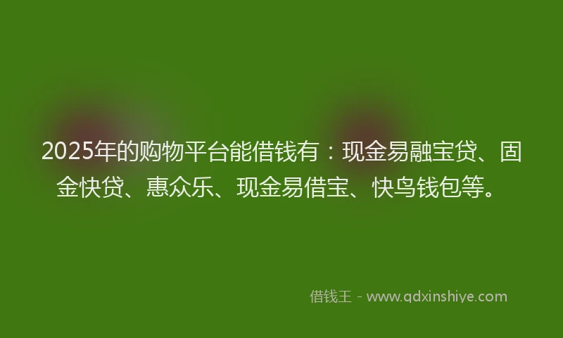 2025年的购物平台能借钱有：现金易融宝贷、固金快贷、惠众乐、现金易借宝、快鸟钱包等。