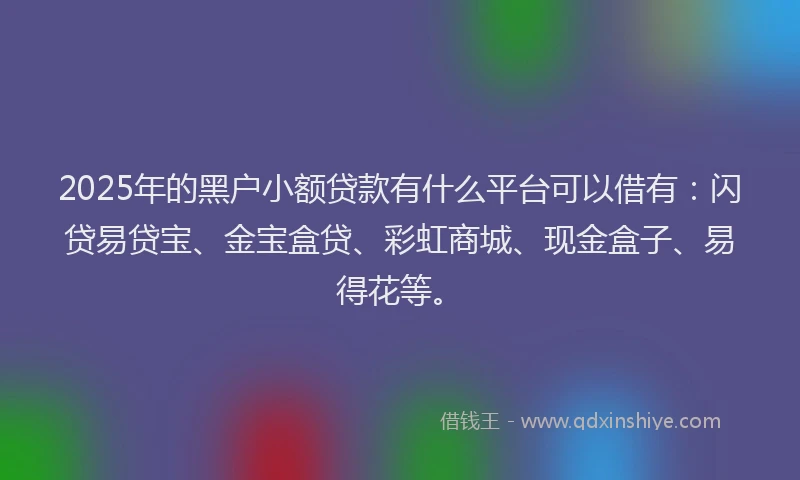 2025年的黑户小额贷款有什么平台可以借有：闪贷易贷宝、金宝盒贷、彩虹商城、现金盒子、易得花等。