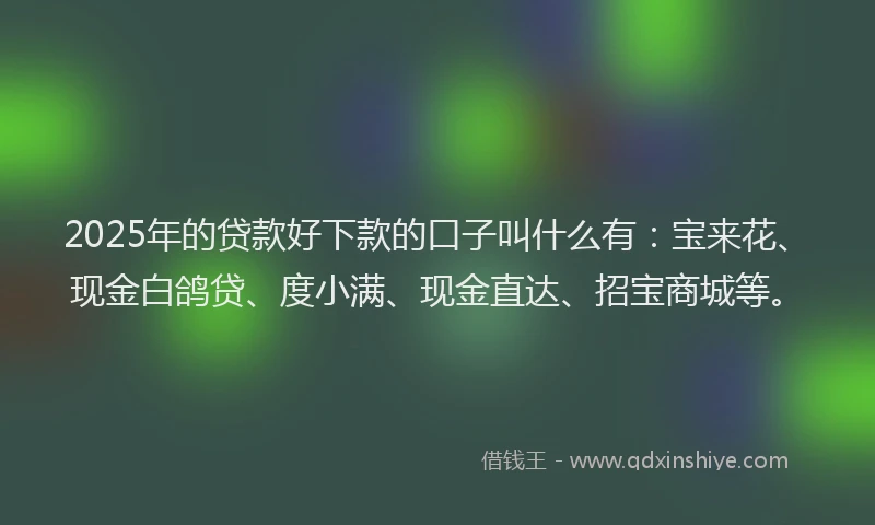 2025年的贷款好下款的口子叫什么有：宝来花、现金白鸽贷、度小满、现金直达、招宝商城等。