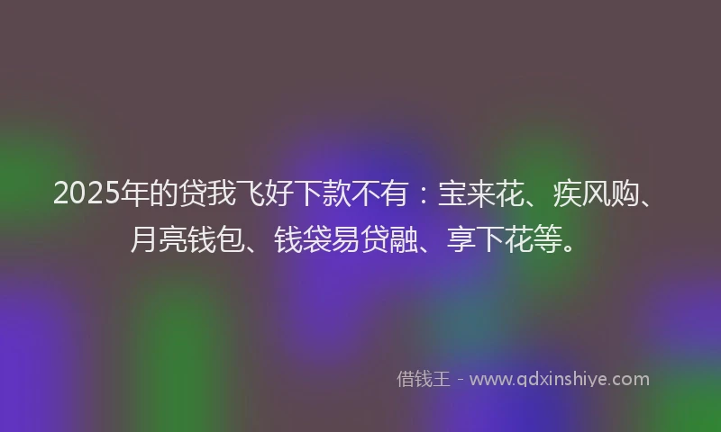 2025年的贷我飞好下款不有：宝来花、疾风购、月亮钱包、钱袋易贷融、享下花等。