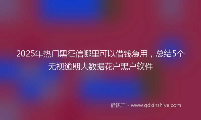 2025年热门黑征信哪里可以借钱急用，总结5个无视逾期大数据花户黑户软件