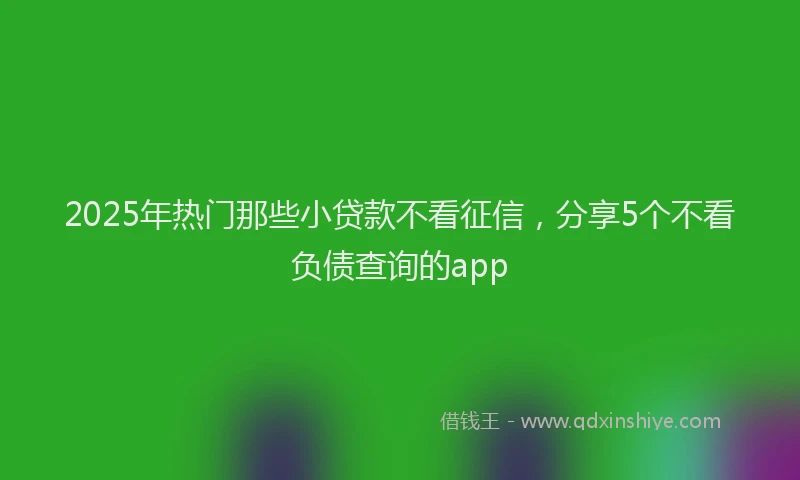 2025年热门那些小贷款不看征信，分享5个不看负债查询的app