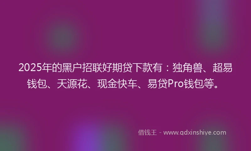 2025年的黑户招联好期贷下款有：独角兽、超易钱包、天源花、现金快车、易贷Pro钱包等。