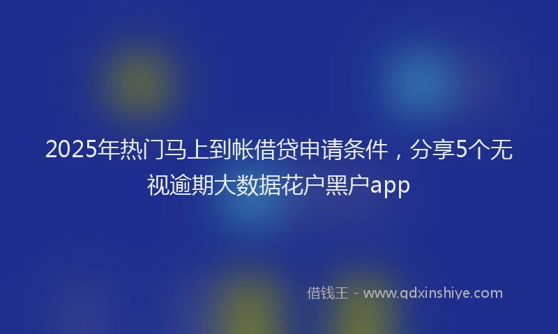 2025年热门马上到帐借贷申请条件，分享5个无视逾期大数据花户黑户app