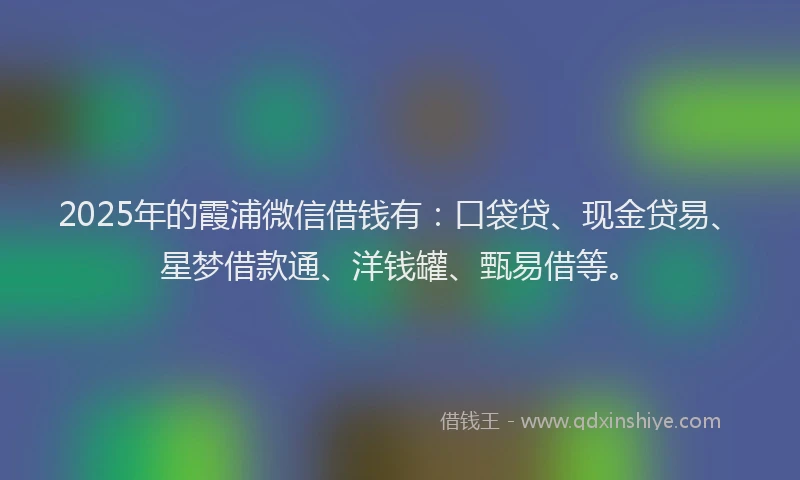 2025年的霞浦微信借钱有：口袋贷、现金贷易、星梦借款通、洋钱罐、甄易借等。