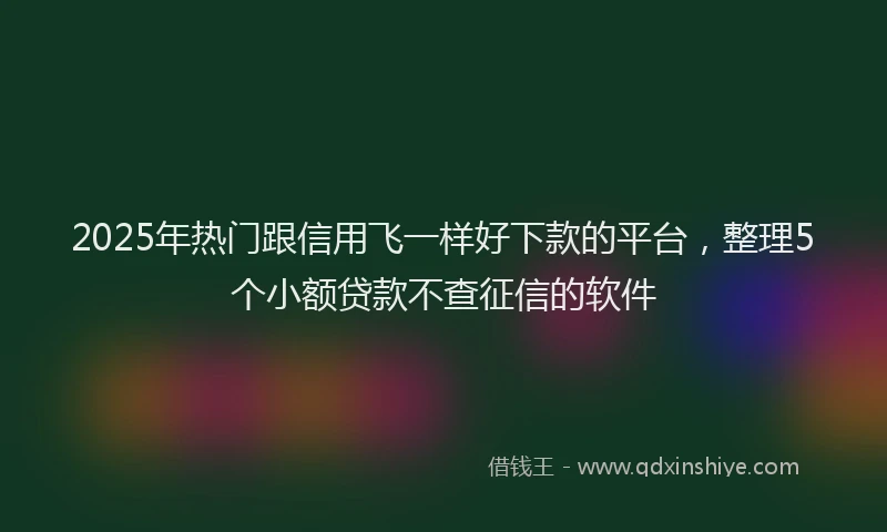 2025年热门跟信用飞一样好下款的平台，整理5个小额贷款不查征信的软件