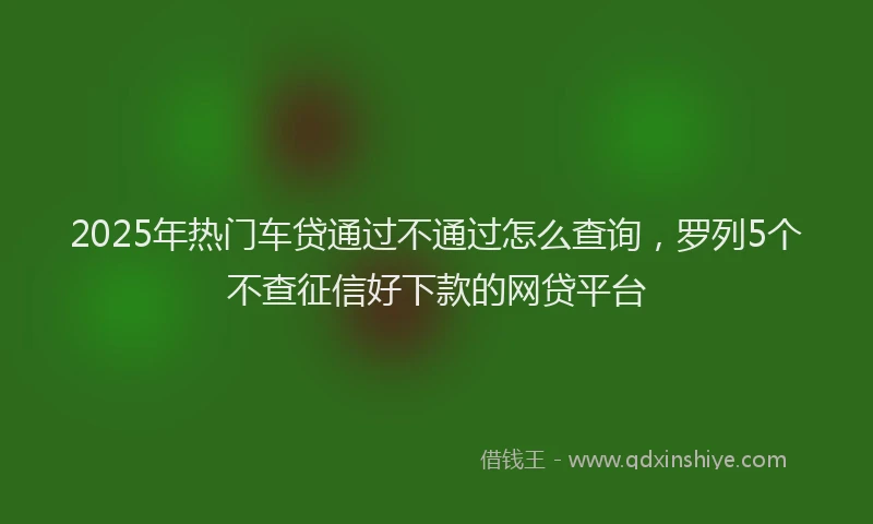 2025年热门车贷通过不通过怎么查询，罗列5个不查征信好下款的网贷平台
