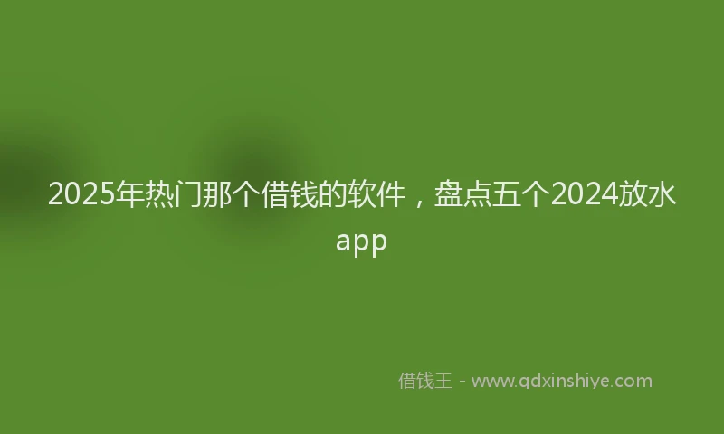 2025年热门那个借钱的软件，盘点五个2024放水app