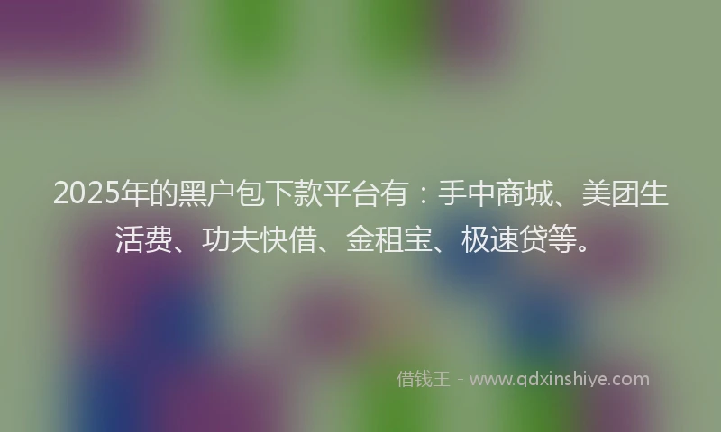 2025年的黑户包下款平台有：手中商城、美团生活费、功夫快借、金租宝、极速贷等。
