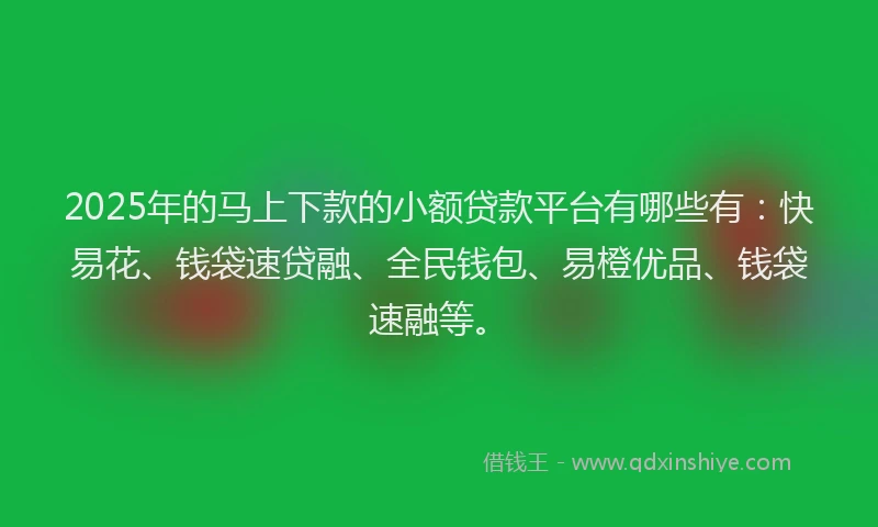 2025年的马上下款的小额贷款平台有哪些有：快易花、钱袋速贷融、全民钱包、易橙优品、钱袋速融等。
