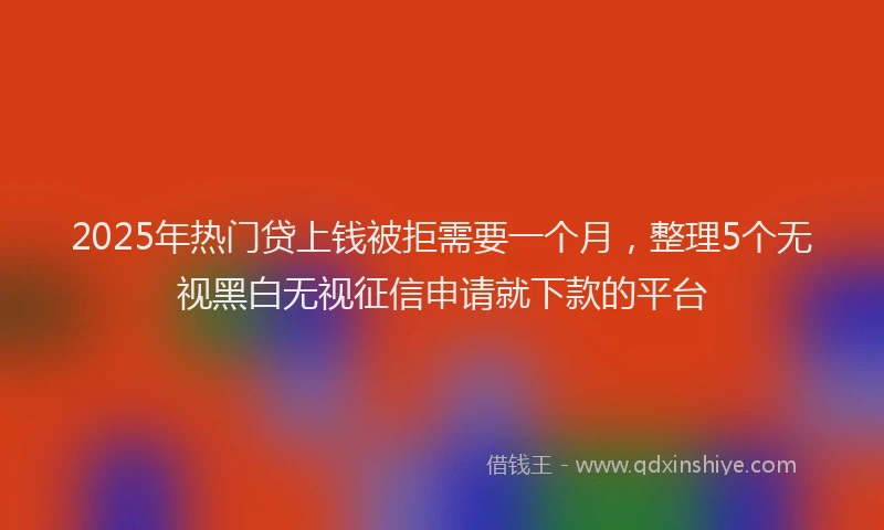 2025年热门贷上钱被拒需要一个月，整理5个无视黑白无视征信申请就下款的平台