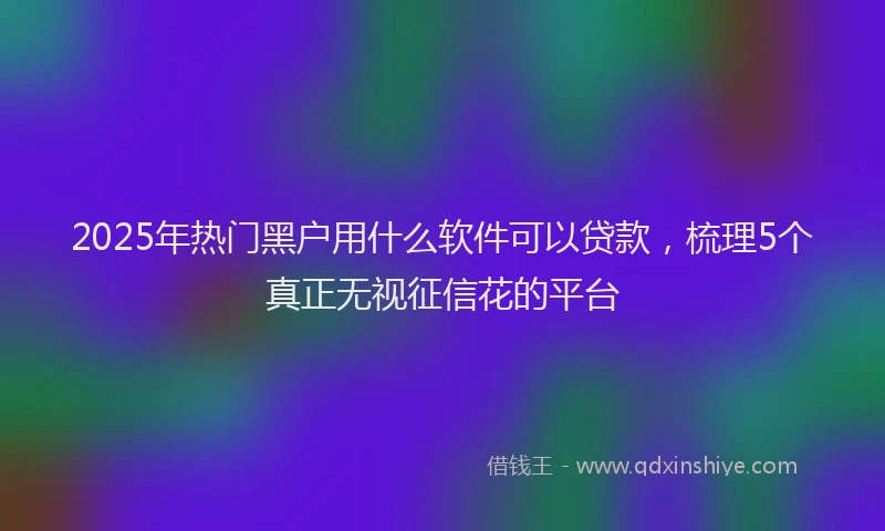2025年热门黑户用什么软件可以贷款，梳理5个真正无视征信花的平台