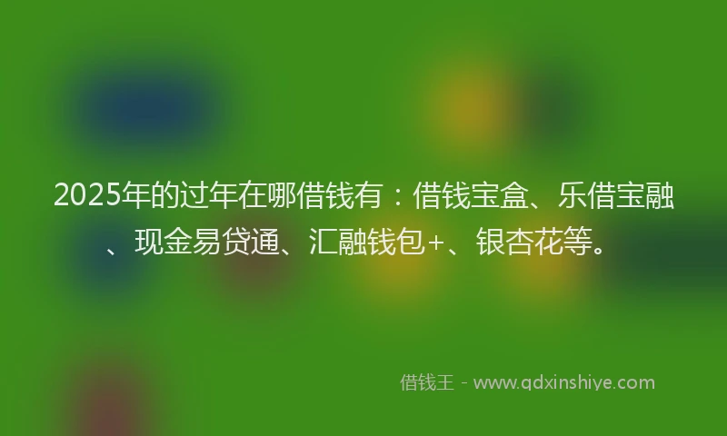2025年的过年在哪借钱有：借钱宝盒、乐借宝融、现金易贷通、汇融钱包+、银杏花等。