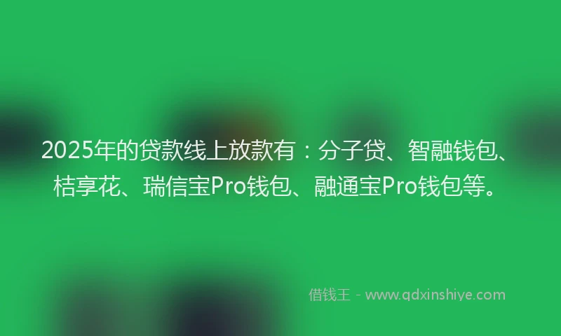 2025年的贷款线上放款有：分子贷、智融钱包、桔享花、瑞信宝Pro钱包、融通宝Pro钱包等。