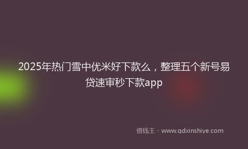 2025年热门雪中优米好下款么，整理五个新号易贷速审秒下款app