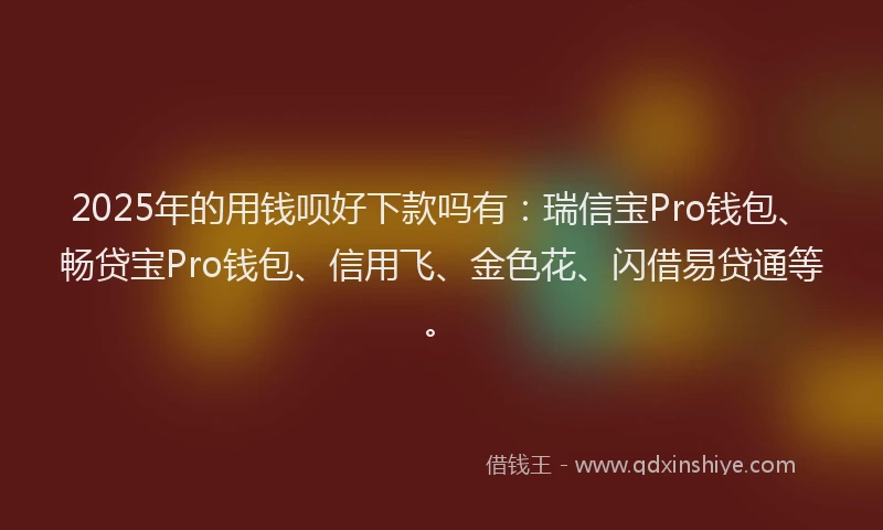 2025年的用钱呗好下款吗有：瑞信宝Pro钱包、畅贷宝Pro钱包、信用飞、金色花、闪借易贷通等。