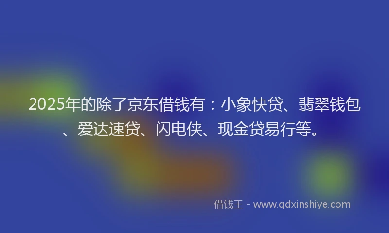 2025年的除了京东借钱有：小象快贷、翡翠钱包、爱达速贷、闪电侠、现金贷易行等。