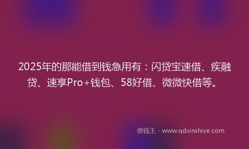 2025年的那能借到钱急用有：闪贷宝速借、疾融贷、速享Pro+钱包、58好借、微微快借等。