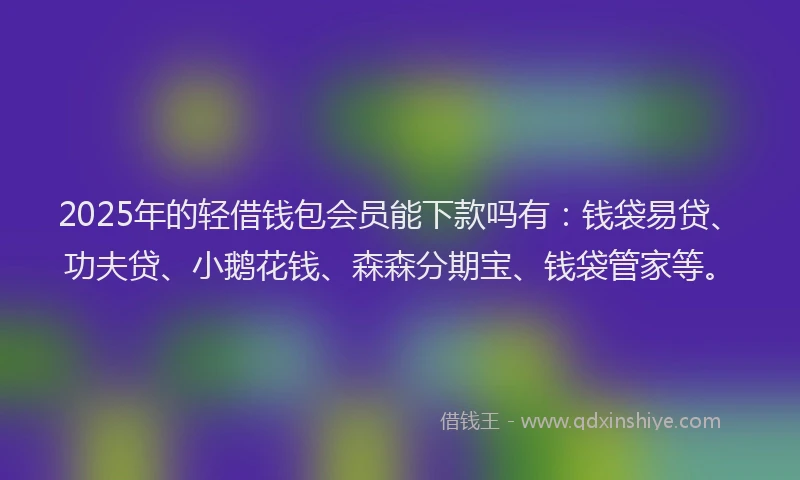 2025年的轻借钱包会员能下款吗有：钱袋易贷、功夫贷、小鹅花钱、森森分期宝、钱袋管家等。