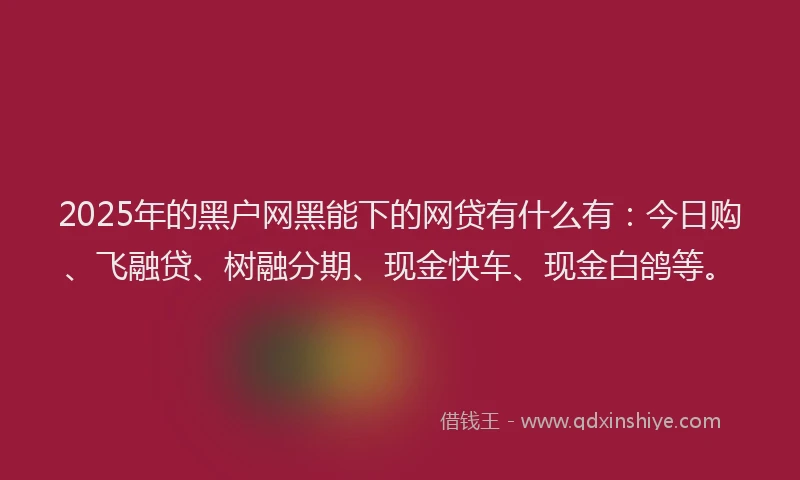 2025年的黑户网黑能下的网贷有什么有：今日购、飞融贷、树融分期、现金快车、现金白鸽等。