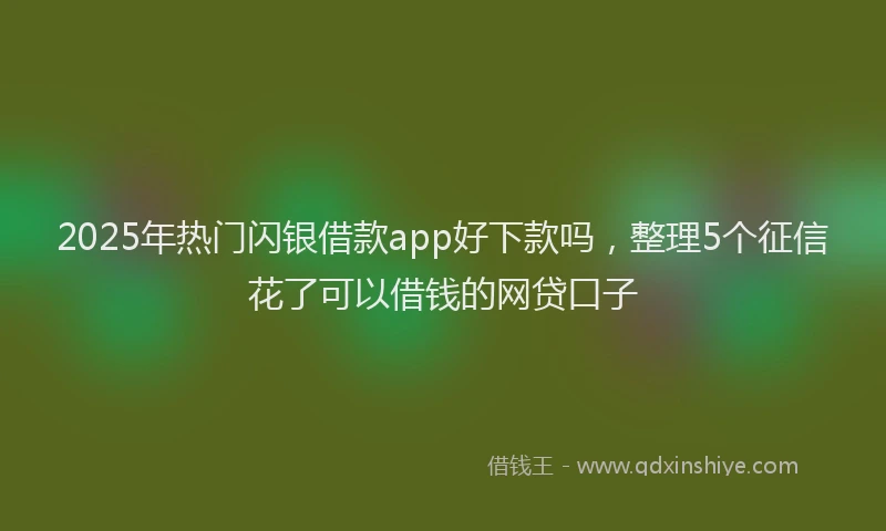 2025年热门闪银借款app好下款吗，整理5个征信花了可以借钱的网贷口子