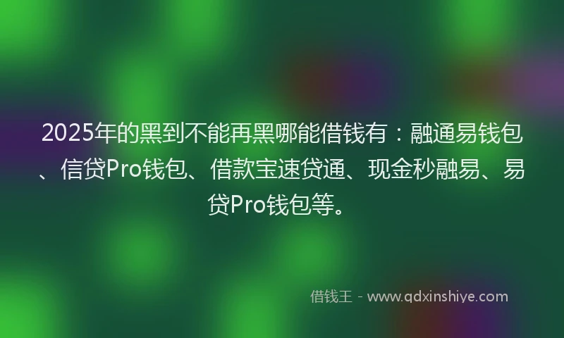 2025年的黑到不能再黑哪能借钱有：融通易钱包、信贷Pro钱包、借款宝速贷通、现金秒融易、易贷Pro钱包等。