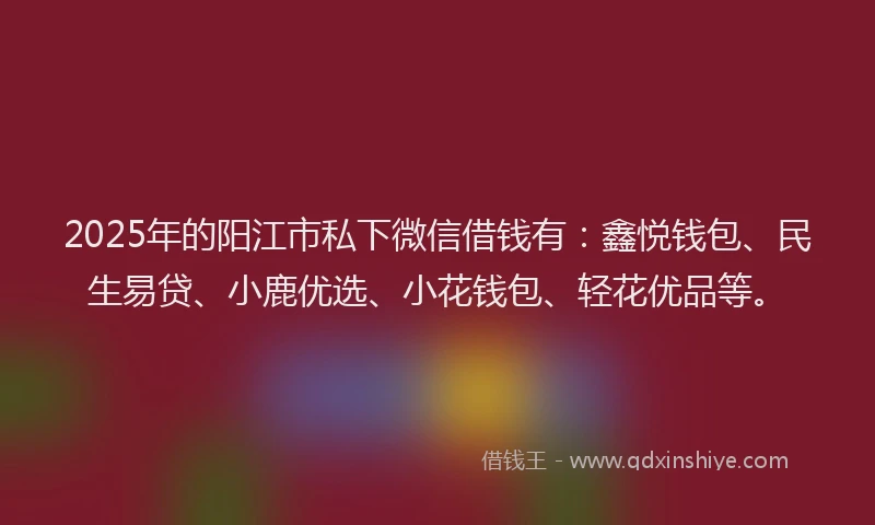 2025年的阳江市私下微信借钱有：鑫悦钱包、民生易贷、小鹿优选、小花钱包、轻花优品等。
