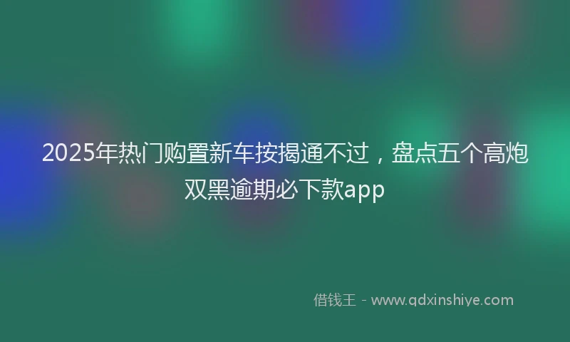 2025年热门购置新车按揭通不过，盘点五个高炮双黑逾期必下款app